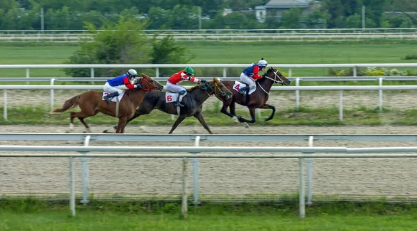 Pyatigorsk Rusia Mayo 2020 Finalizar Carrera Caballos Para Premio Mayski — Foto de Stock