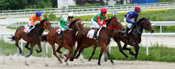 Pyatigorsk Russia May 2012 Horse Race Trial Prize Pyatigorsk Hippodrome — Stock Photo, Image