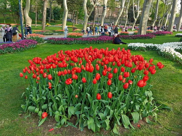 Blühende Blumenbeete und Gasse des Gulhane Parks — Stockfoto