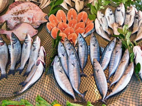 Vários tipos de peixes no balcão de peixe em Istambul. Turco — Fotografia de Stock