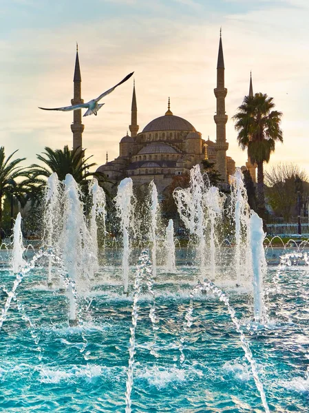 Sultan Ahmed Mosque o zachodzie słońca. Istanbul, Turcja. — Zdjęcie stockowe