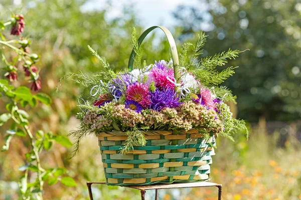 Bouquet of asters in a green basket on a nature background — Stock Photo, Image