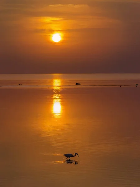 Aube sur la mer Rouge à Sharm El Sheikh . — Photo