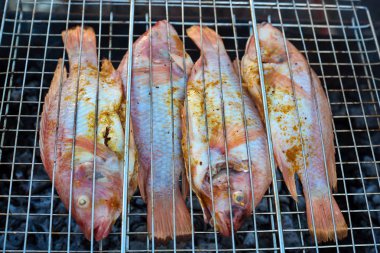 Izgarasında baharatlar olan iştah açıcı balık (Akad kırmızı balığı). 