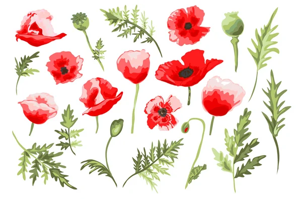 Ensemble de coquelicots dessinés à la main — Image vectorielle