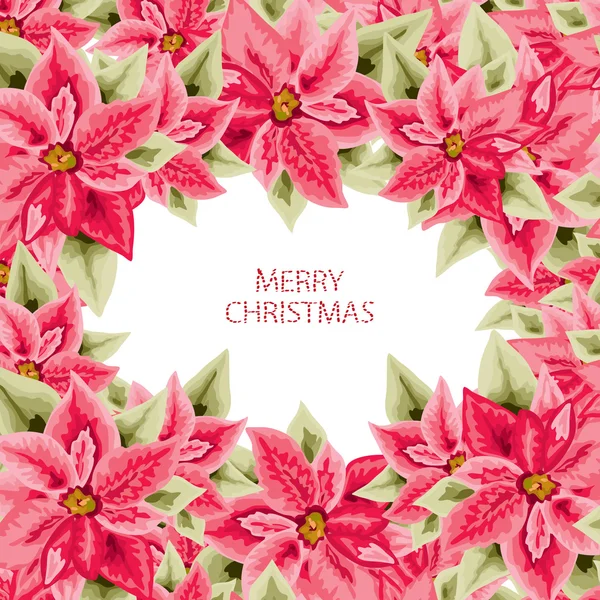 Tarjeta de Navidad poinsettia — Vector de stock