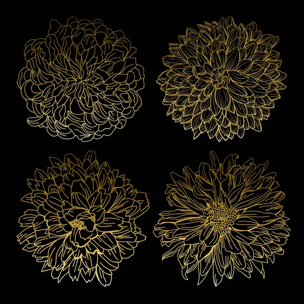 Crisantemi d'oro set — Vettoriale Stock