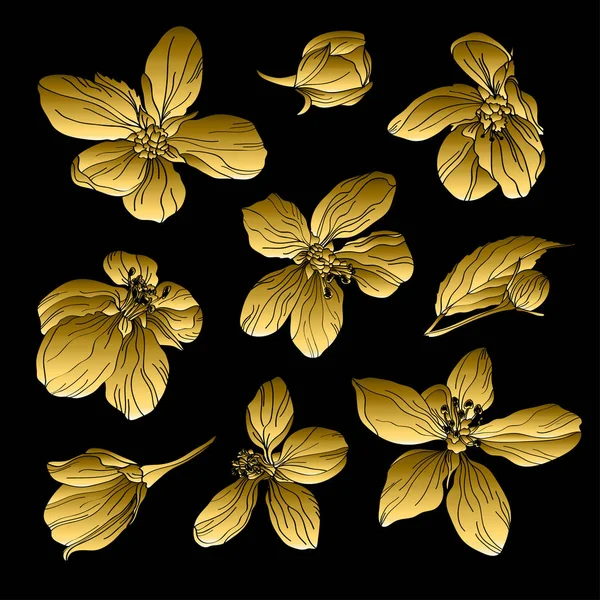 Cherry blossom set — Stock Vector © ishmel 1379468