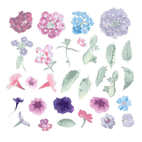 Set decoraciones florales — Vector de stock