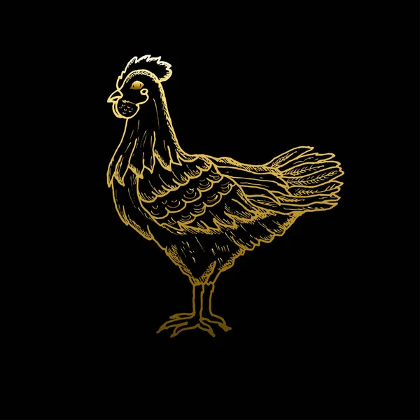 Kurczak wyciągnięty ręcznie — Wektor stockowy