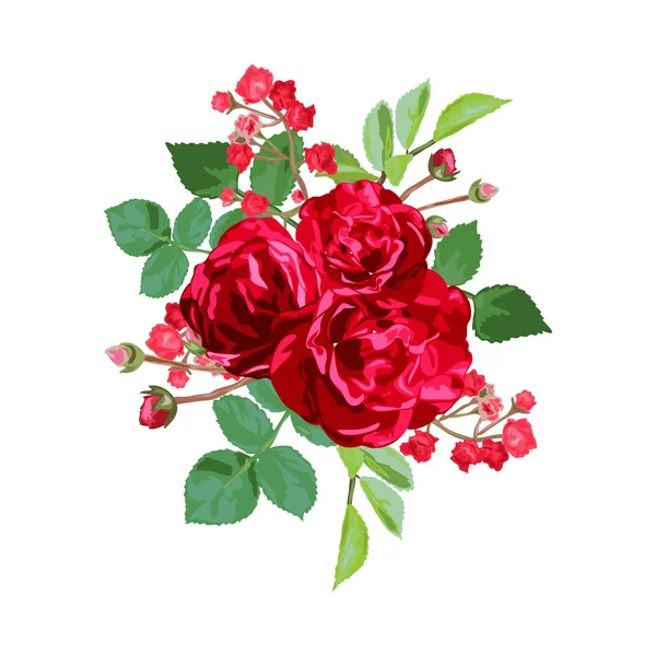 Różany bukiet kwiatowy — Wektor stockowy