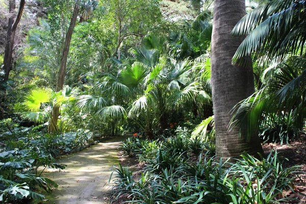 green tropical garden