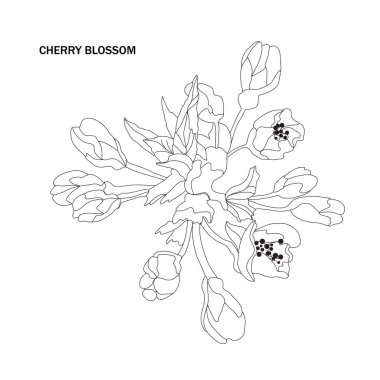 Dekoratif kiraz çiçeği