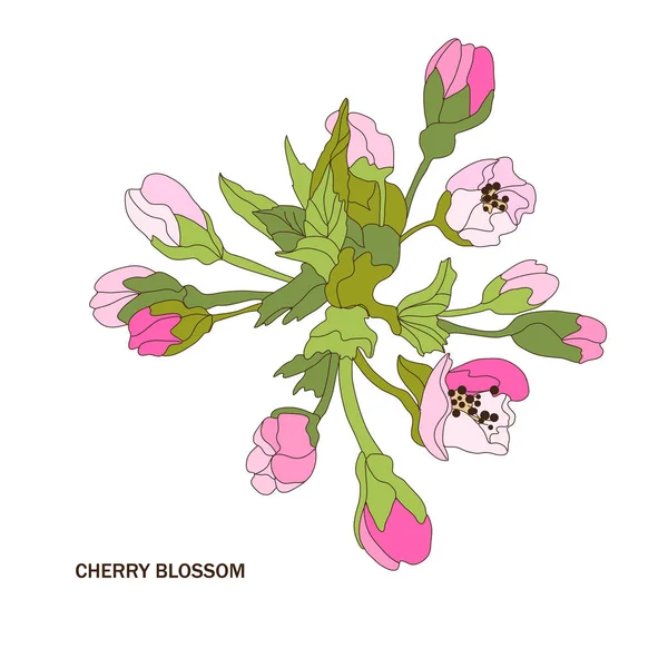 Flor de cereja decorativa — Vetor de Stock