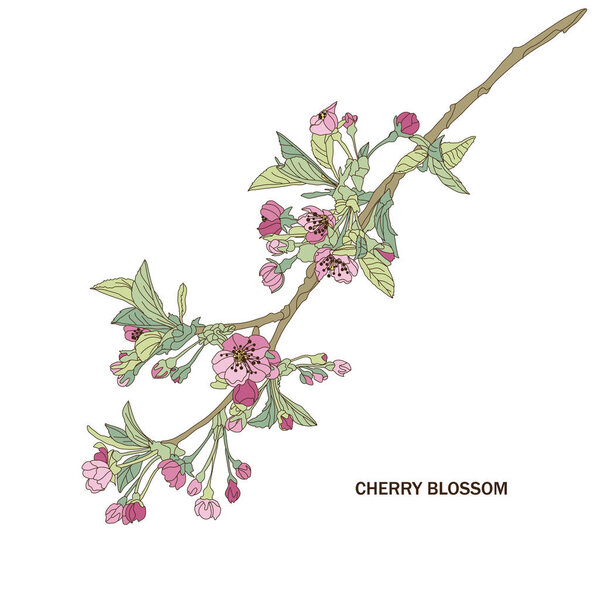 decorative cherry blossom