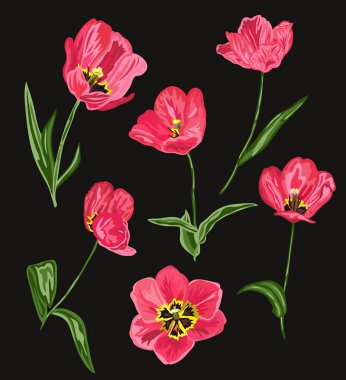 Dekoratif Lale çiçek seti