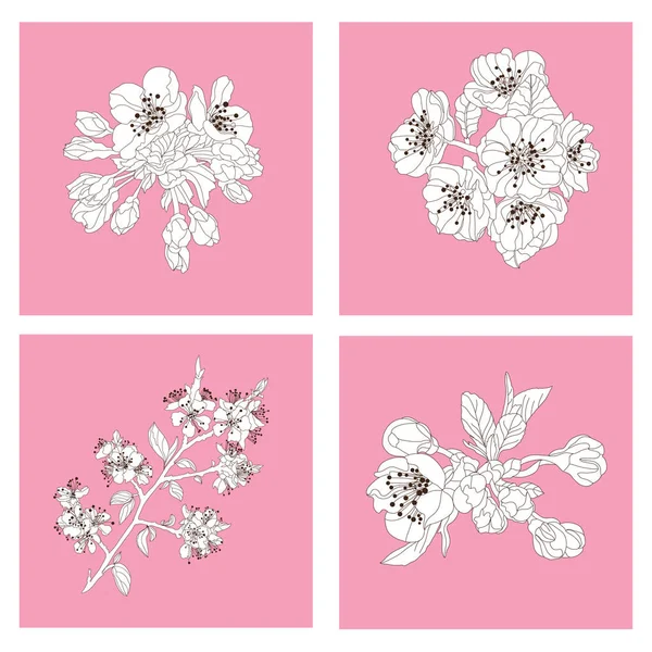 Flores de flor de cerezo conjunto — Vector de stock