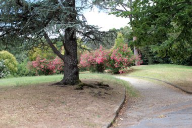 Montecatini Terme şehir manzaralı