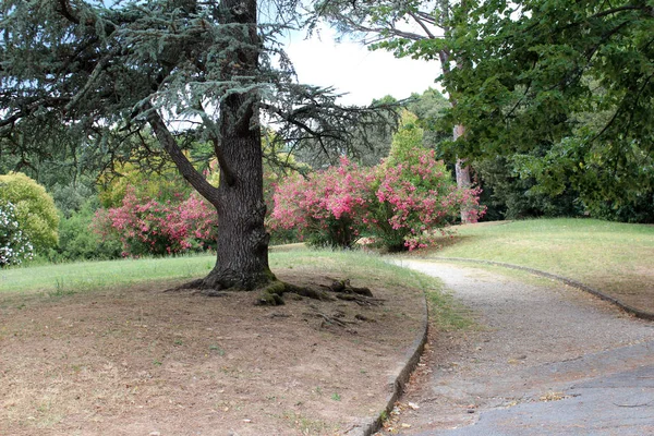 Montecatini Terme şehir manzaralı