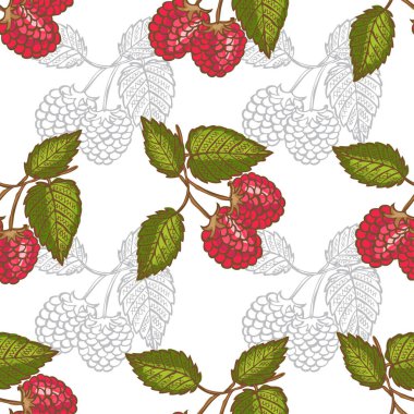 Meyveler pürüzsüz desen