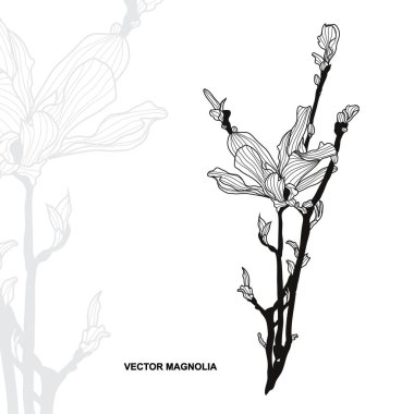 Elle çizilmiş çiçek dekorasyon