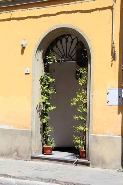Vue sur la ville de Pescia, Italie — Photo