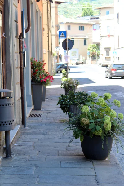 Vista de Pescia, Italia —  Fotos de Stock