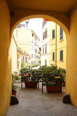 Şehir Manzaralı Floransa, İtalya