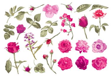 Gül ve yaprakları seti