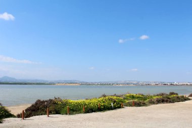 Tuz Gölü Larnaka, Kıbrıs için