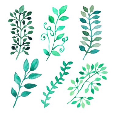 suluboya yaprakları clipart