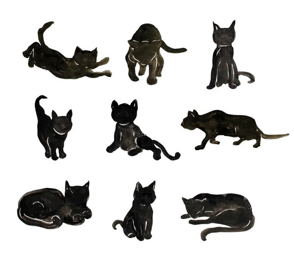 Aquarell Katzen Cliparts — Stockfoto