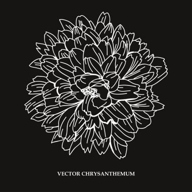 Elle çizilmiş çiçek dekorasyon