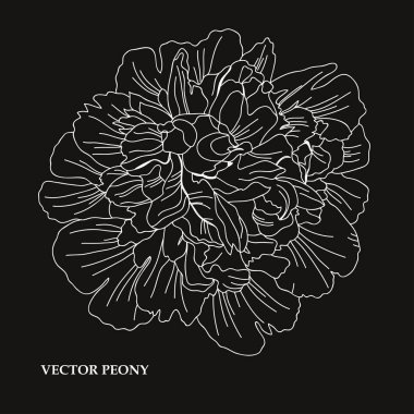 Elle çizilmiş çiçek dekorasyon