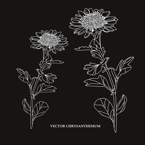 Hand getrokken florale decoratie — Stockvector