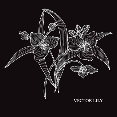 Elle çizilmiş çiçek dekorasyon