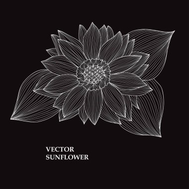 Elle çizilmiş çiçek dekorasyon