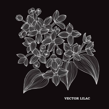 Elle çizilmiş çiçek dekorasyon