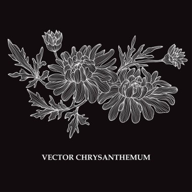 Elle çizilmiş çiçek dekorasyon