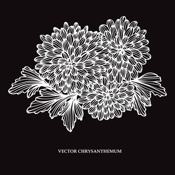 Hand getrokken florale decoratie — Stockvector