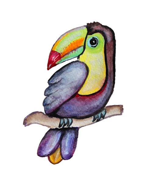 Aquarell Tukan Vogel Cliparts — Stockfoto