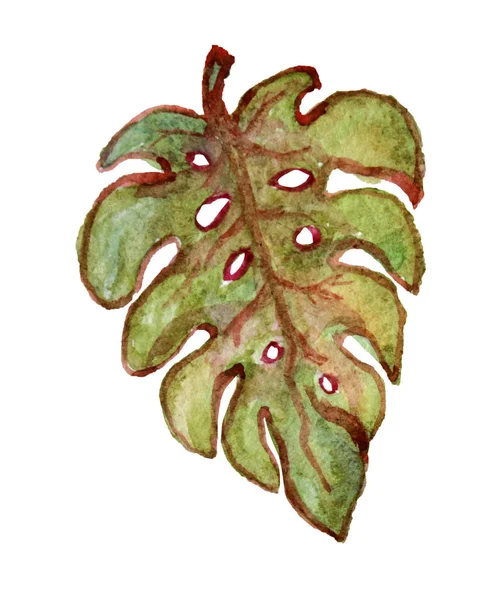 Акварельные листья клипарт — стоковое фото