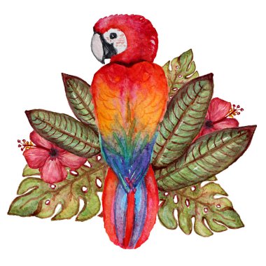 suluboya tropikal clipart