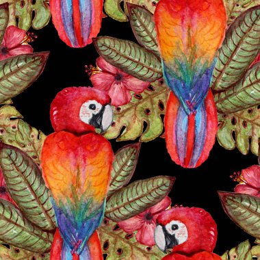 Suluboya tropikal desensiz