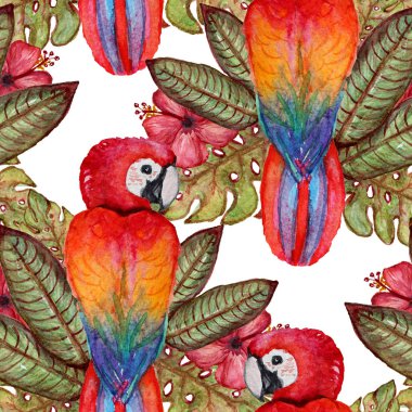 Suluboya tropikal desensiz