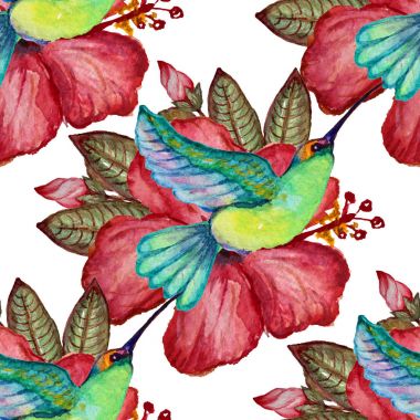 Suluboya tropikal desensiz