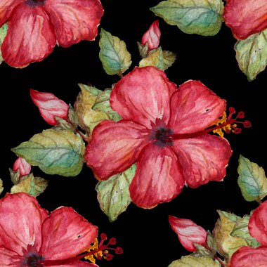 Suluboya tropikal desensiz