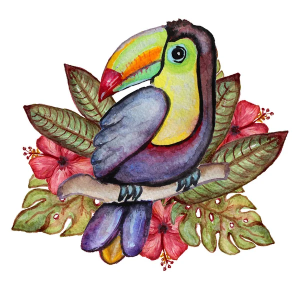 Aquarela clipart tropical — Fotografia de Stock