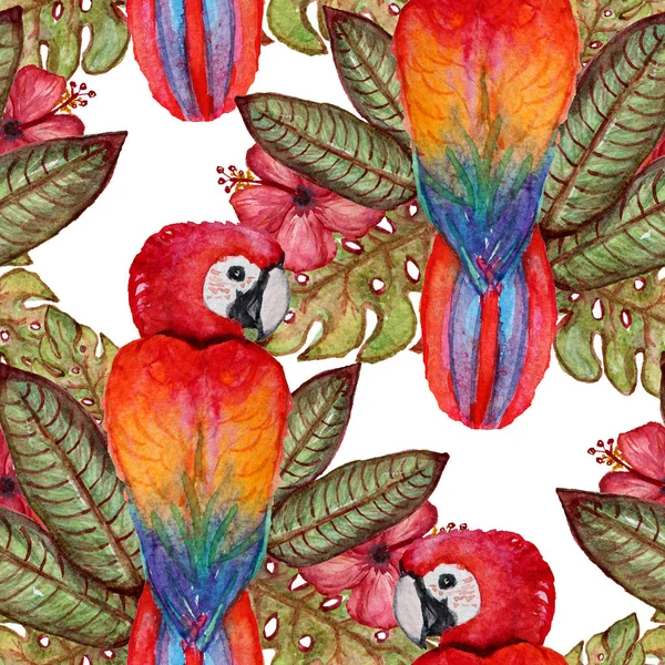 Suluboya tropikal desensiz