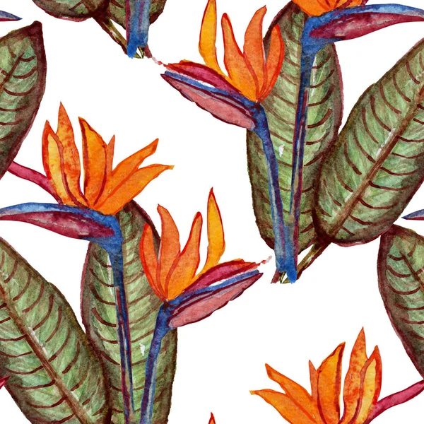 Aquarelle motif tropical sans couture — Photo